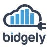 Bidgely company logo