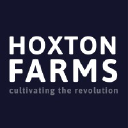 Hoxton Farms company logo